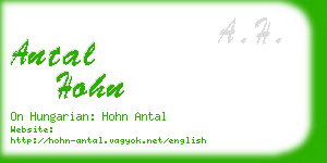 antal hohn business card